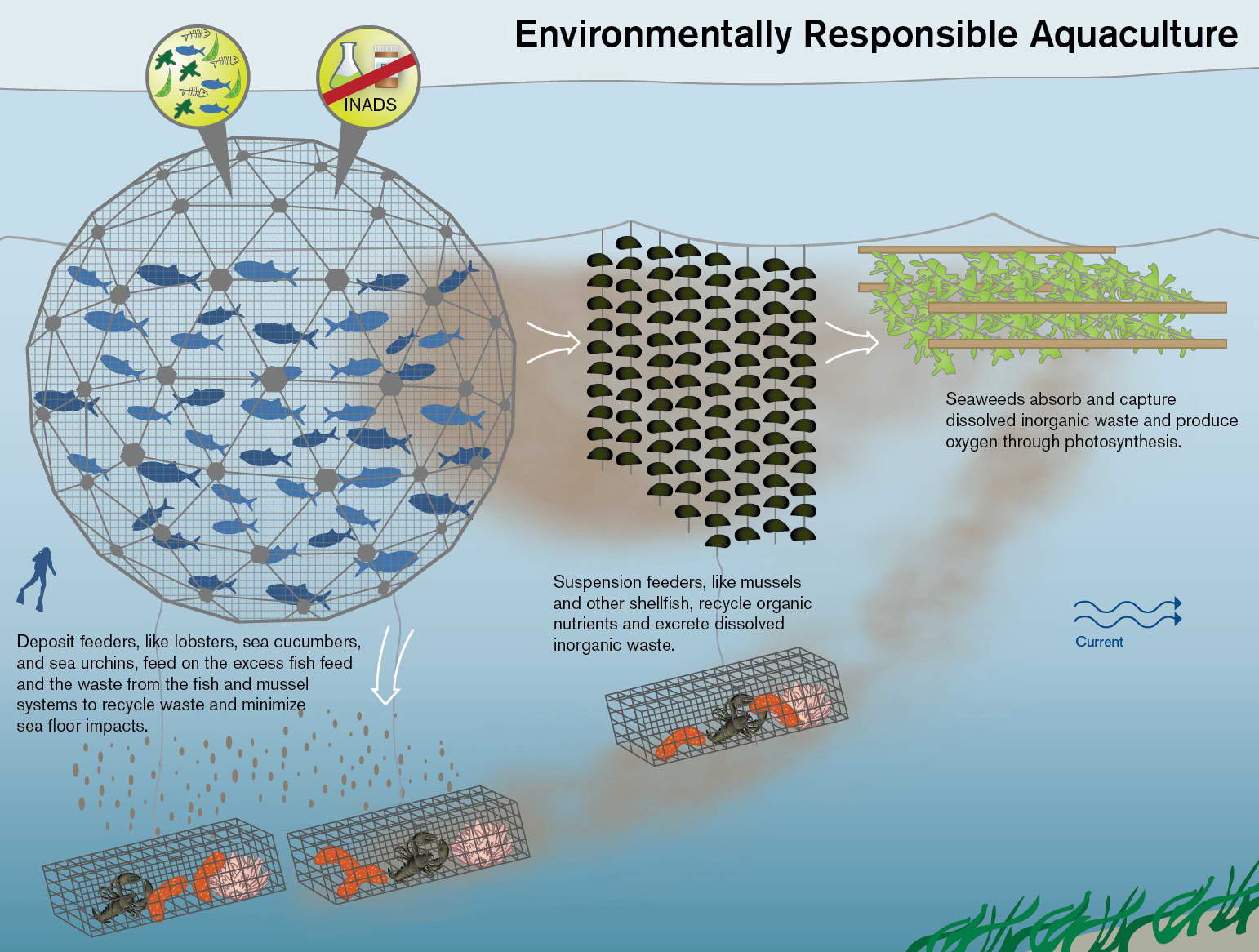 Geodesic Domes For Deep Sea Fish Farming